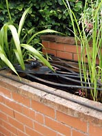 Pond Grille